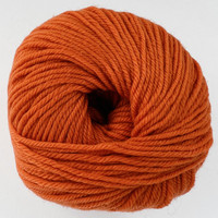 CY 220 SW 822 Pumpkin - 886904000663