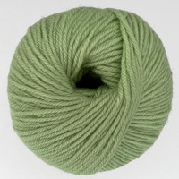 CY 220 SW 850 Lime Sherbet - 886904000892