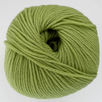 CY 220 SW 851 Lime - 886904000908