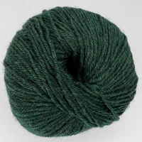 CY 220 SW 866 Forest Heather - 886904001035