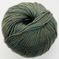 CY 220 SW 867 Lichen - 886904001042