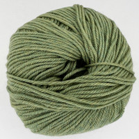 CY 220 SW 905 Celery - 886904001387