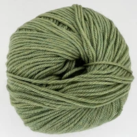 CY 220 SW 905 Celery - 886904001387