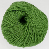 CY 220 SW 906 Chartreuse - 886904001394