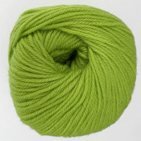 CY 220 SW 887 Wasabi - 886904001233