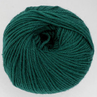 CY 220 SW 1950 Hunter Green - 886904000298