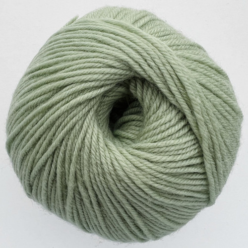 CY 220 SW 250 Laurel Green - 886904046067