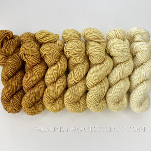 FS Gradient Set Squeeze -