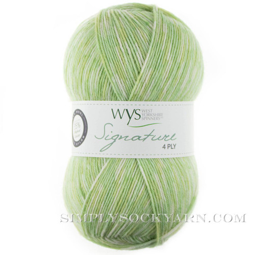 WYS Florist 803 Gypsophila -