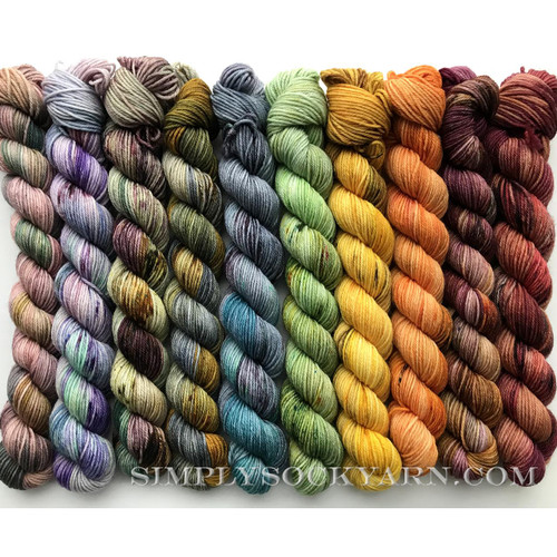 S&S Harry Potter Minis -