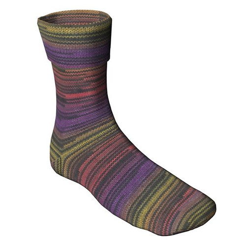 Berroco Sox 14105 - 780335141059