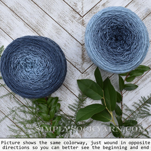 WY Blossoms 23-Globe Thistle -