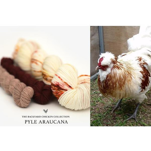 HLoco BYCC Pyle Araucana Rstr -