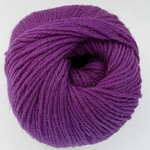 CY 220 SW 341 Gloxinia - 886904015933