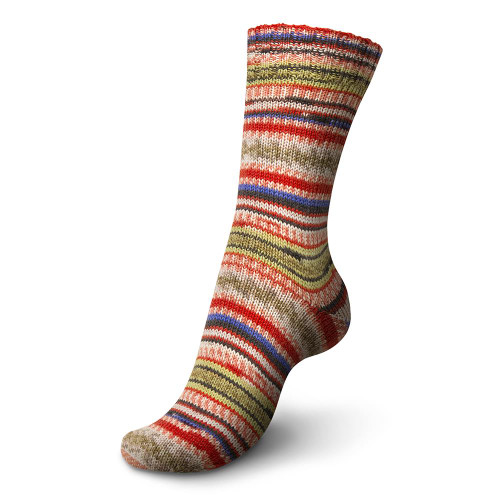 Regia 6Ply Arne Carlos 4011 - Simply Socks Yarn Company
