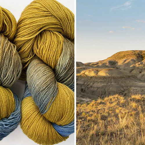 FA Bluenose BFL Grasslands -