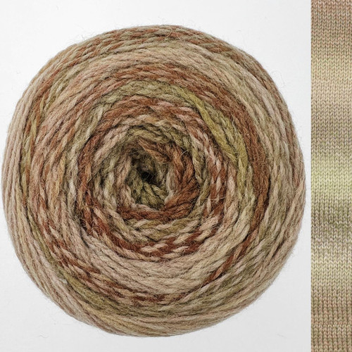 QLD Perth 138 Cape Tribulation - 841275198098