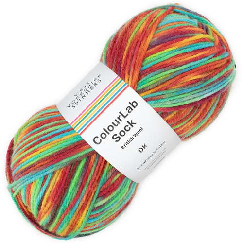 WYS DK Sock 1202 Pop - Simply Socks Yarn Company