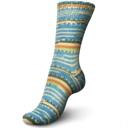 Regia 6 Ply DK Autumn Walk 4901 -