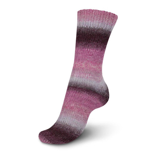 Regia DK Virtuoso Color 3081 -