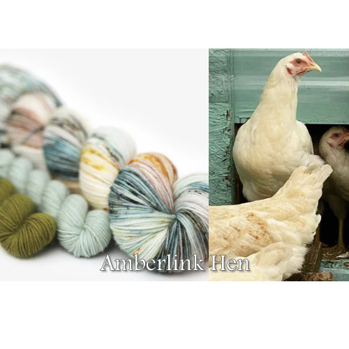 HLoco BYCC Amberlink Hen -