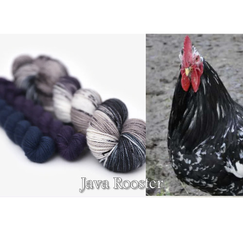 HLoco BYCC Java Rooster -