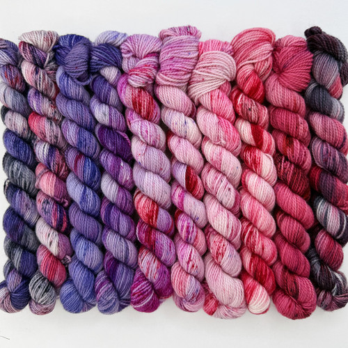 EY Mini Set Scorpio -