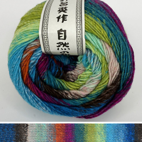 Noro Saiun 14 - Simply Socks Yarn Company