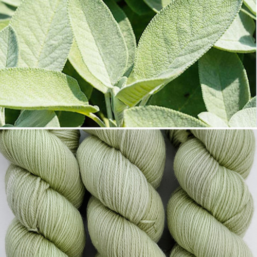 EFA Sincere Sock Sage -