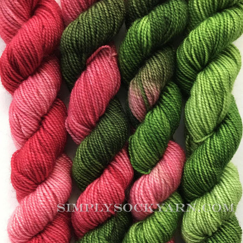 US Gradiance Geranium -