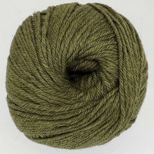 CY 220 SW 1919 Turtle - 886904000106