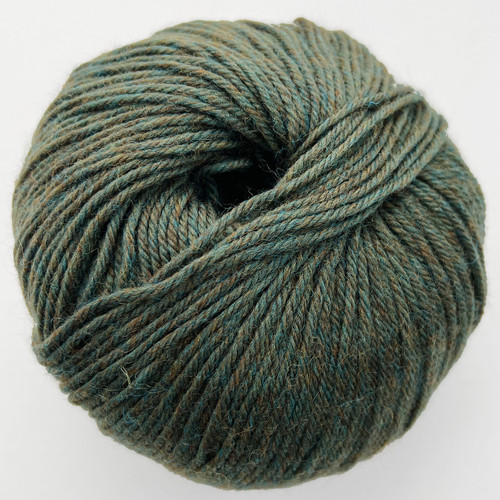 CY 220 SW 867 Lichen - 886904001042