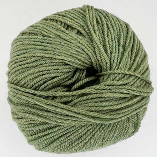 CY 220 SW 905 Celery - 886904001387