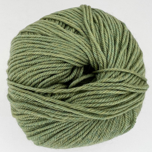 CY 220 SW 905 Celery - 886904001387