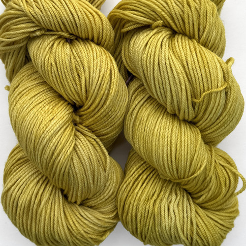 MT Tosh DK Winter Wheat -