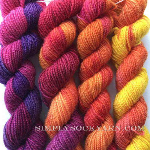 US Gradiance Tulip Festival -