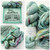 LYS Day Set 2026 Pool Party -
