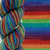 B&H Sockrates Roys Second Cous -