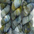 EFA Sincere Sock Dulce -