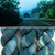 EFA Sincere Sock Road Trip -