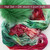 SSYC Hat Set Jollyville w/Green -