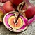 LW Mini Minder Peach Out -
