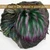 SSYC Hat Set Decomposed -