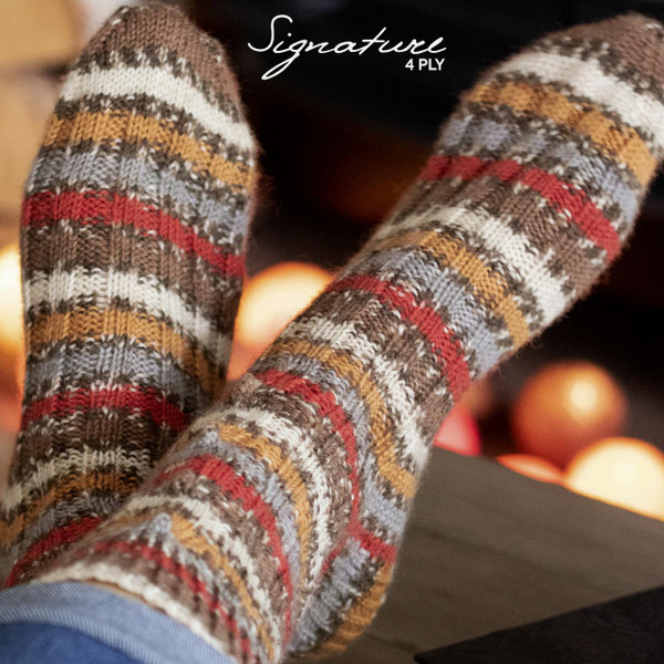 WYS Christmas Robin 941 Simply Socks Yarn Company