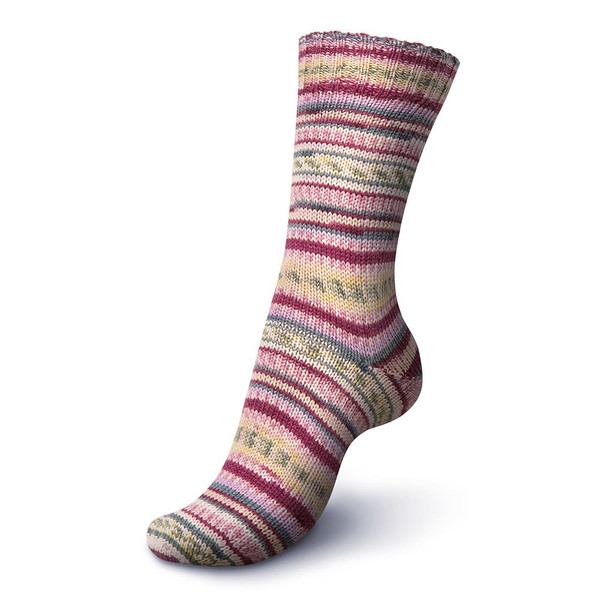 Regia 6Ply Arne Carlos 4013 - Simply Socks Yarn Company