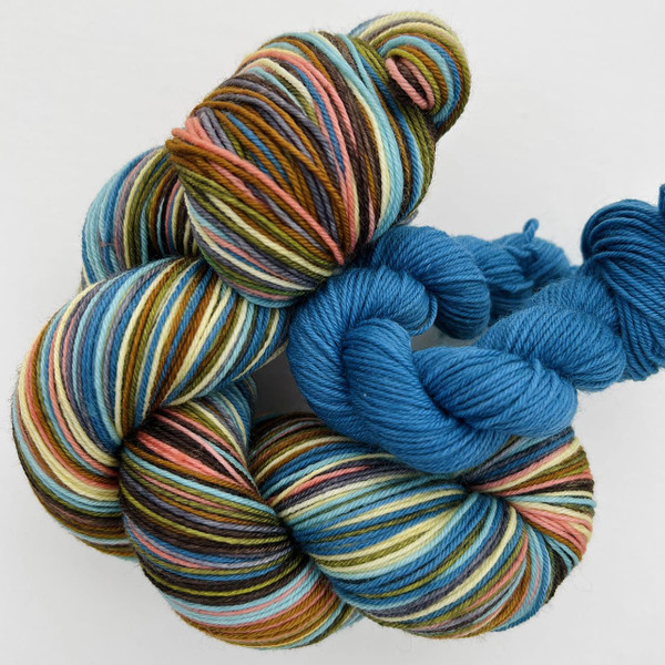 FW Sock Set Champagne Supernova - Simply Socks Yarn Company