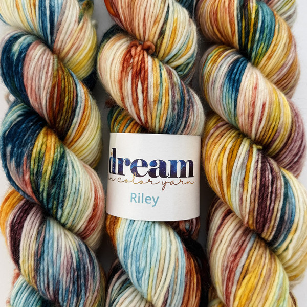 DIC Riley Autumn Mesa - Simply Socks Yarn Company
