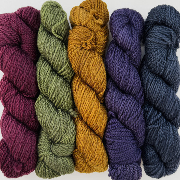 Colossal Wool WY 5 Minis In the Shadows - Simply Socks Yarn Company