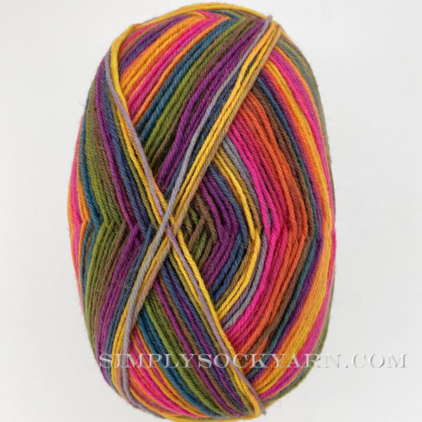 Trekking XXL 550 Simply Socks Yarn Company