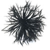 Dandelion Feather Flowers